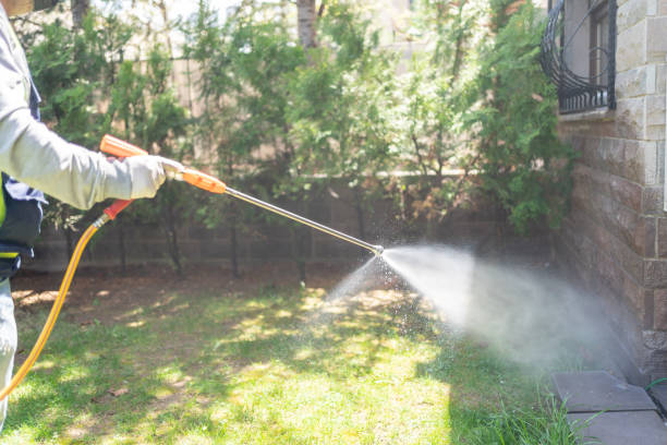 Professional Pest Control in Waxahachie, TX